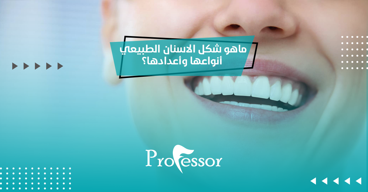 ماهو شكل الاسنان الطبيعي أنواعها وأعدادها؟